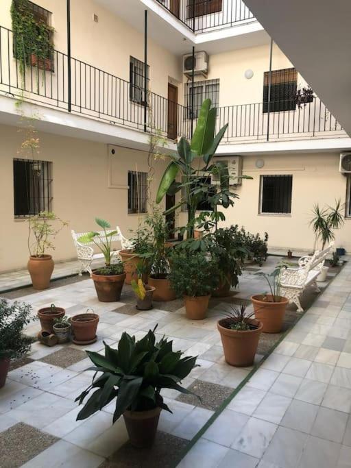 Sevilla San Bernardo Apartamento Sevilha Exterior foto